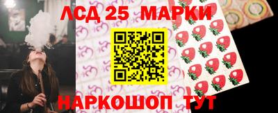 спайс Гатчина