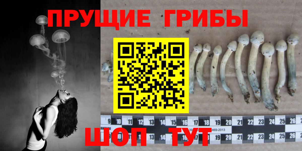 Галлюциногенные грибы ЛСД Ижевск