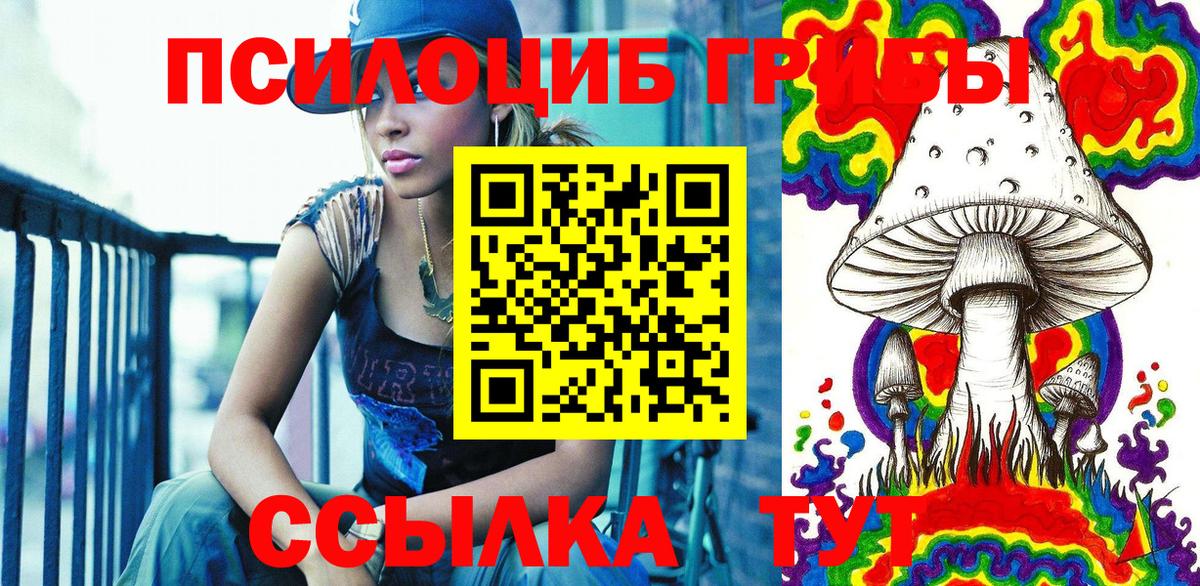 где продают наркотики  Ижевск  Галлюциногенные грибы Psilocybine cubensis 